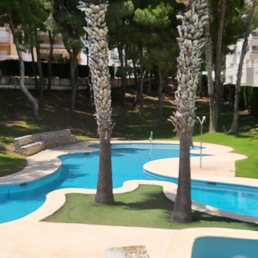 Apartamento Ines, Dehesa De Campoamor,900M From The Sea , Swimming Pool & Tennis Court المظهر الخارجي الصورة